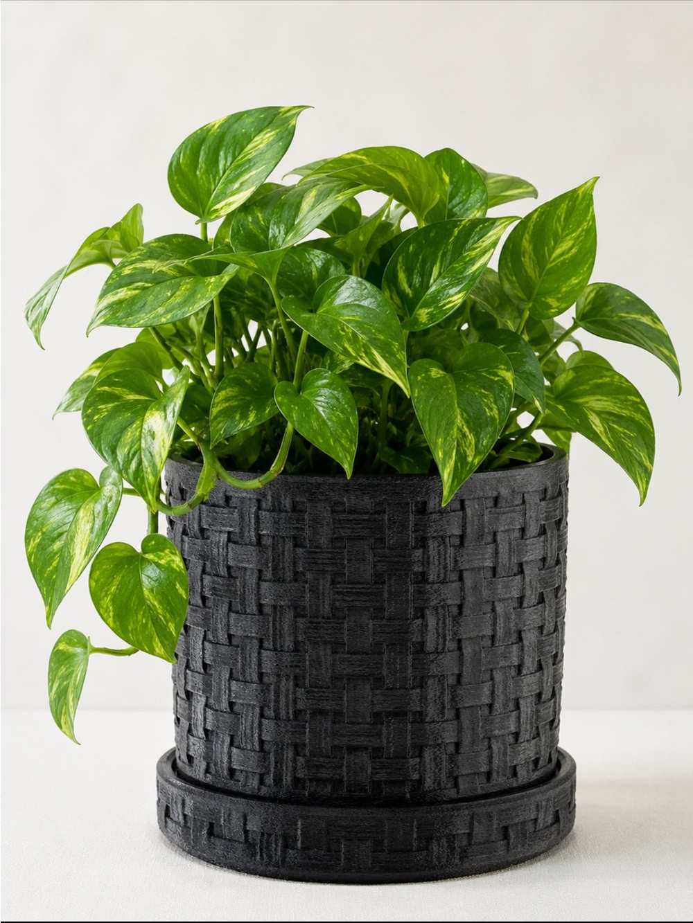 3D Printed Black Woven Texture Planter Pot with Drainage tray modern indoor pot